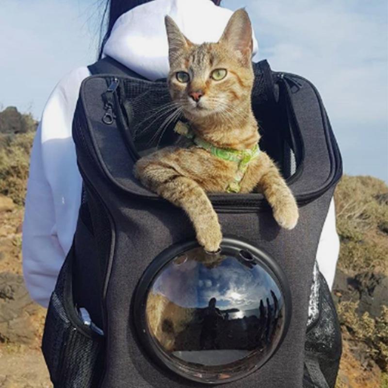 Geräumiger und bequemer Katzenrucksack