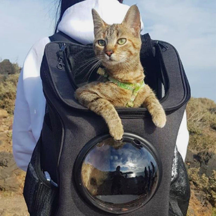 Geräumiger und bequemer Katzenrucksack