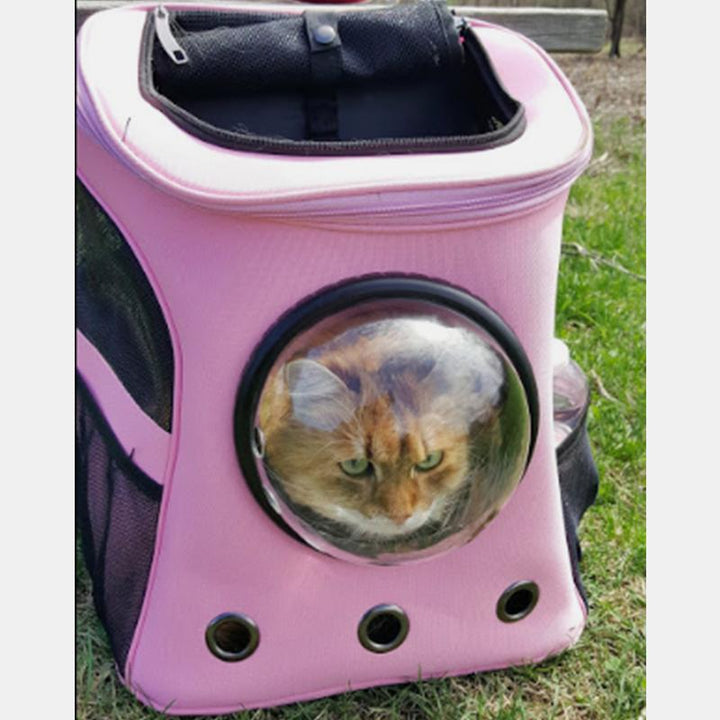 Geräumiger und bequemer Katzenrucksack