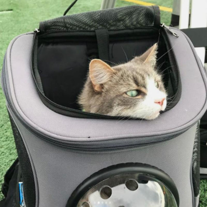 Geräumiger und bequemer Katzenrucksack