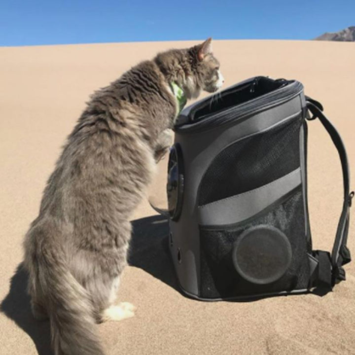 Geräumiger und bequemer Katzenrucksack