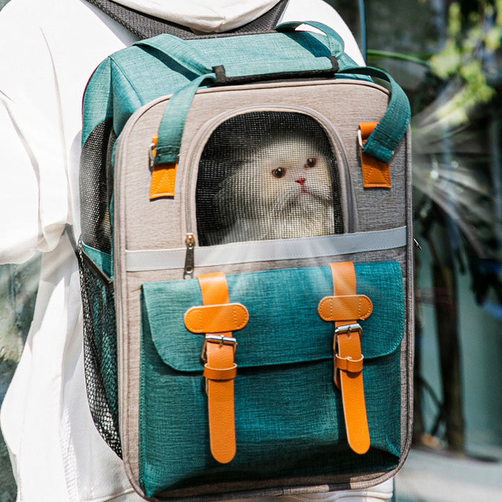 Haustier-Tragerucksack für Katzen, Luftpolster-Rucksack, für bis zu 9 kg