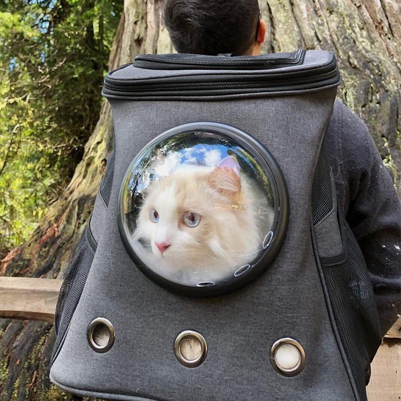 Geräumiger und bequemer Katzenrucksack