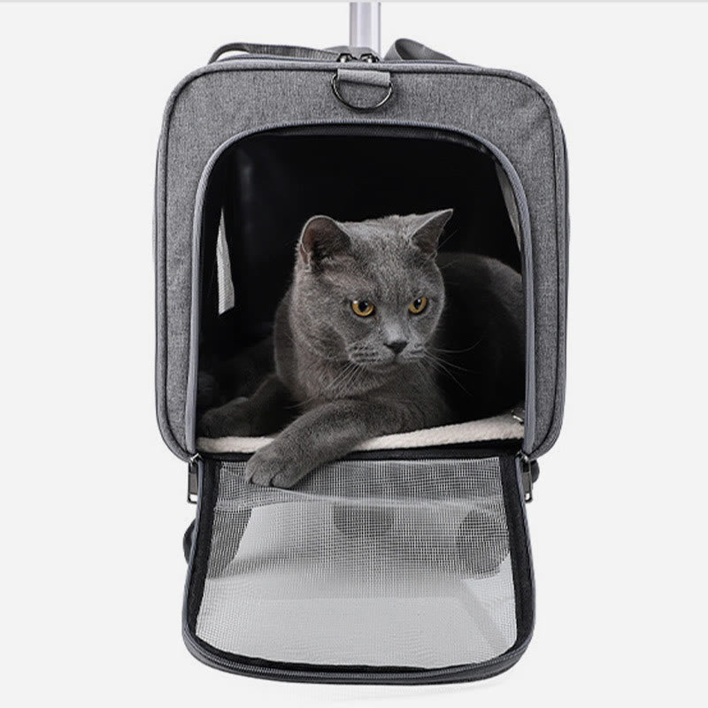 Rolling Pet Carrier Faltbare atmungsaktive Zugstange Haustiertasche