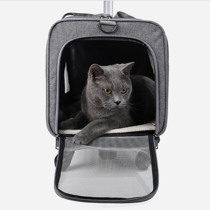 Rolling Pet Carrier Faltbare atmungsaktive Zugstange Haustiertasche
