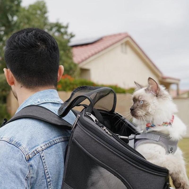 Geräumiger und bequemer Katzenrucksack