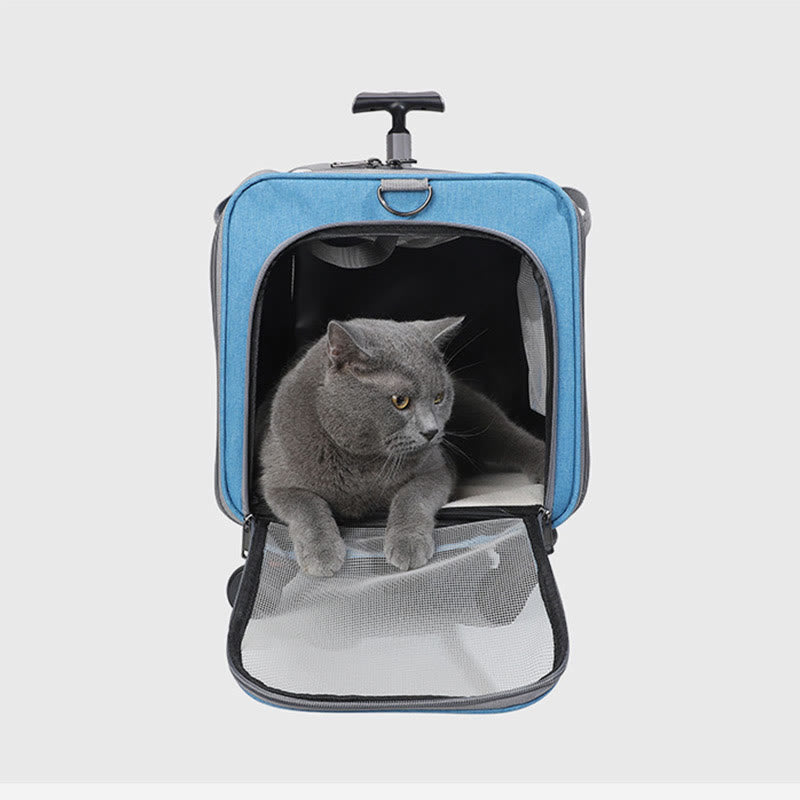 Rolling Pet Carrier Faltbare atmungsaktive Zugstange Haustiertasche