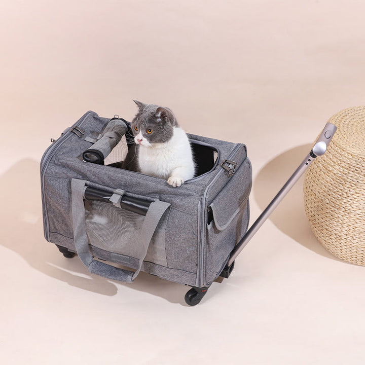 Rolling Pet Carrier Faltbare atmungsaktive Zugstange Haustiertasche