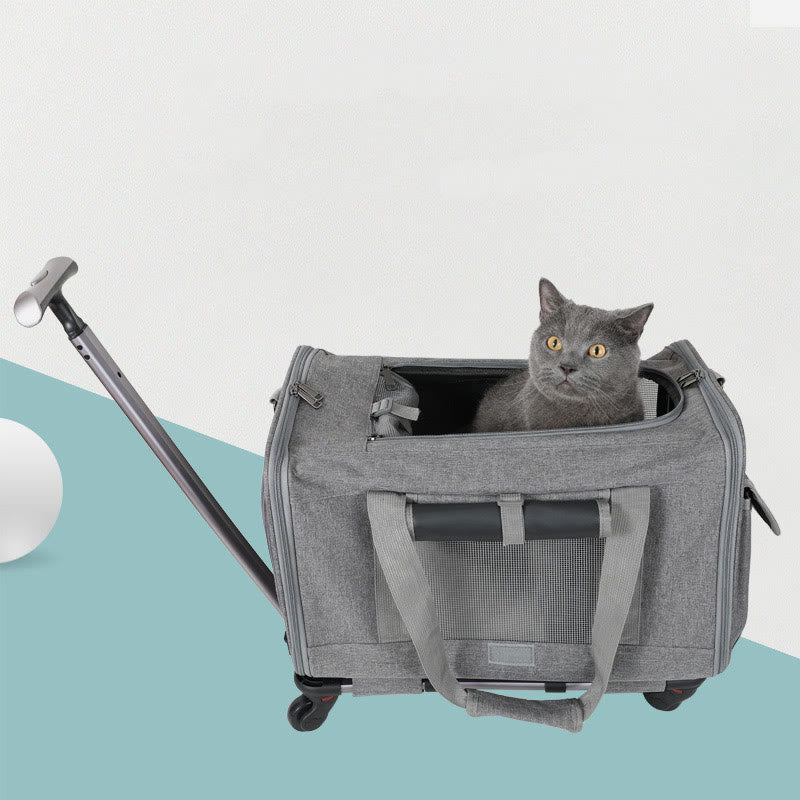 Rolling Pet Carrier Faltbare atmungsaktive Zugstange Haustiertasche