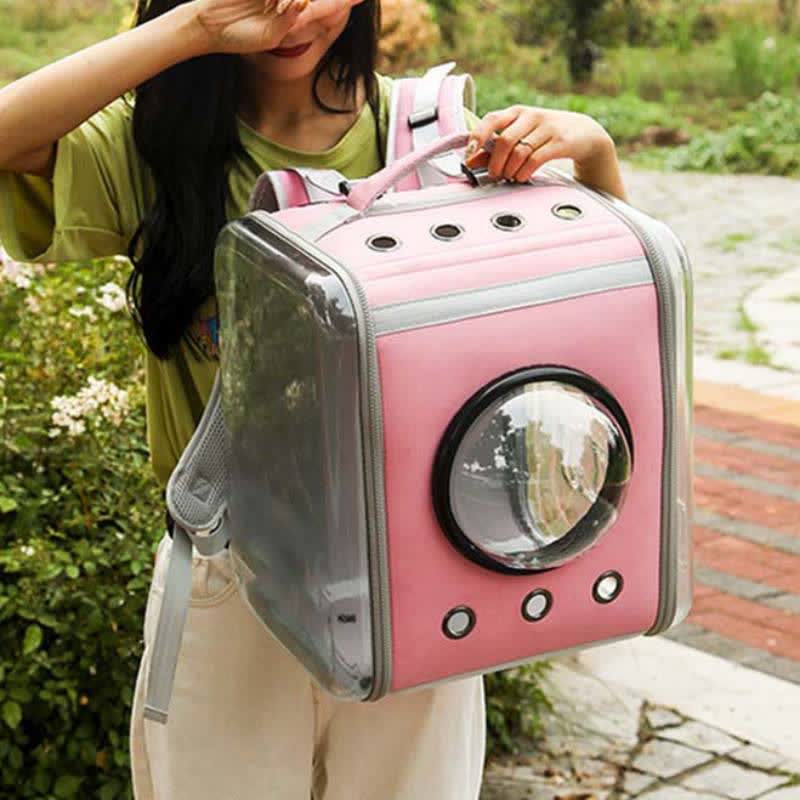 Haustier-Träger-Rucksack, faltbar, mit Blase, Katzen, Welpen, Träger, transparente Raumkapsel