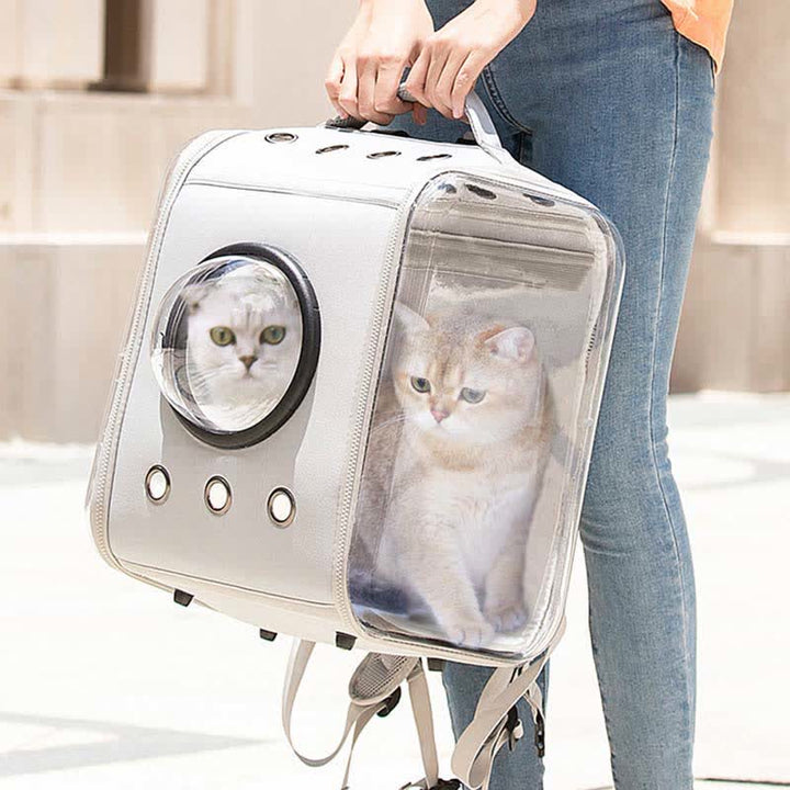 Haustier-Träger-Rucksack, faltbar, mit Blase, Katzen, Welpen, Träger, transparente Raumkapsel