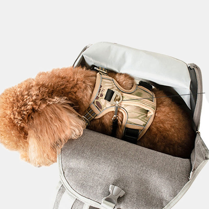 Haustier-Vorderträger Kleiner Hund Katze Netz-Rucksack mit Sicherheitsgurt