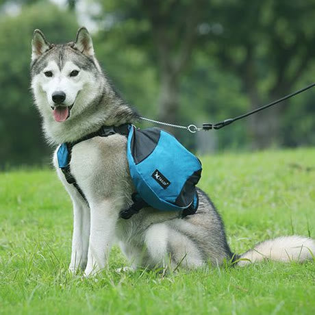 Outdoor-Hunderucksack Y-förmige Satteltasche für mittelgroße und große Hunde