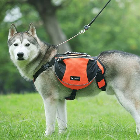 Outdoor-Hunderucksack Y-förmige Satteltasche für mittelgroße und große Hunde