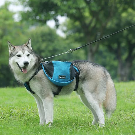 Outdoor-Hunderucksack Y-förmige Satteltasche für mittelgroße und große Hunde