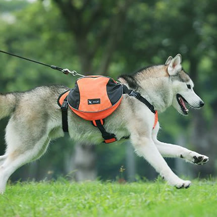 Outdoor-Hunderucksack Y-förmige Satteltasche für mittelgroße und große Hunde