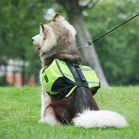 Outdoor-Hunderucksack Y-förmige Satteltasche für mittelgroße und große Hunde