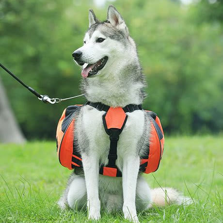 Outdoor-Hunderucksack Y-förmige Satteltasche für mittelgroße und große Hunde
