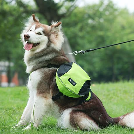 Outdoor-Hunderucksack Y-förmige Satteltasche für mittelgroße und große Hunde