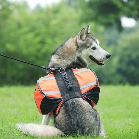 Outdoor-Hunderucksack Y-förmige Satteltasche für mittelgroße und große Hunde