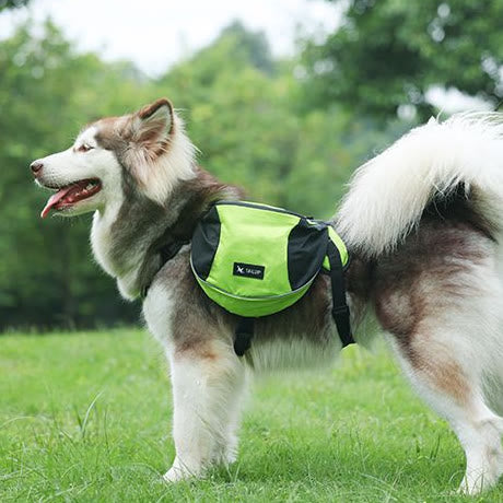 Outdoor-Hunderucksack Y-förmige Satteltasche für mittelgroße und große Hunde