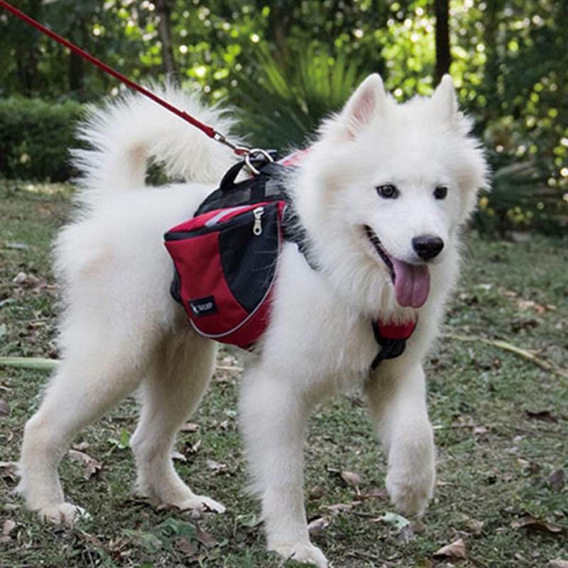 Outdoor-Hunderucksack Y-förmige Satteltasche für mittelgroße und große Hunde