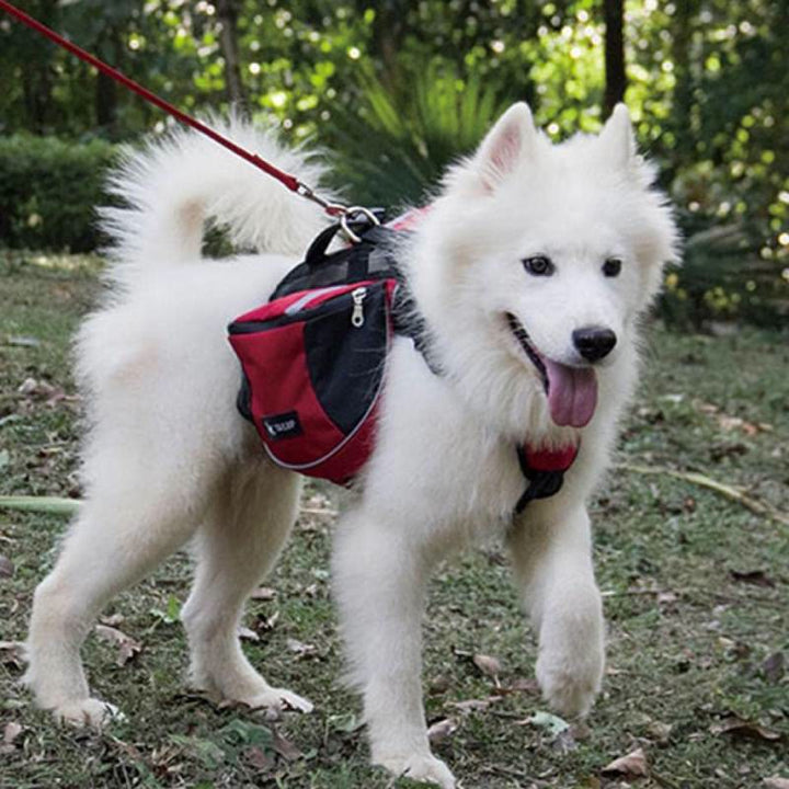 Outdoor-Hunderucksack Y-förmige Satteltasche für mittelgroße und große Hunde