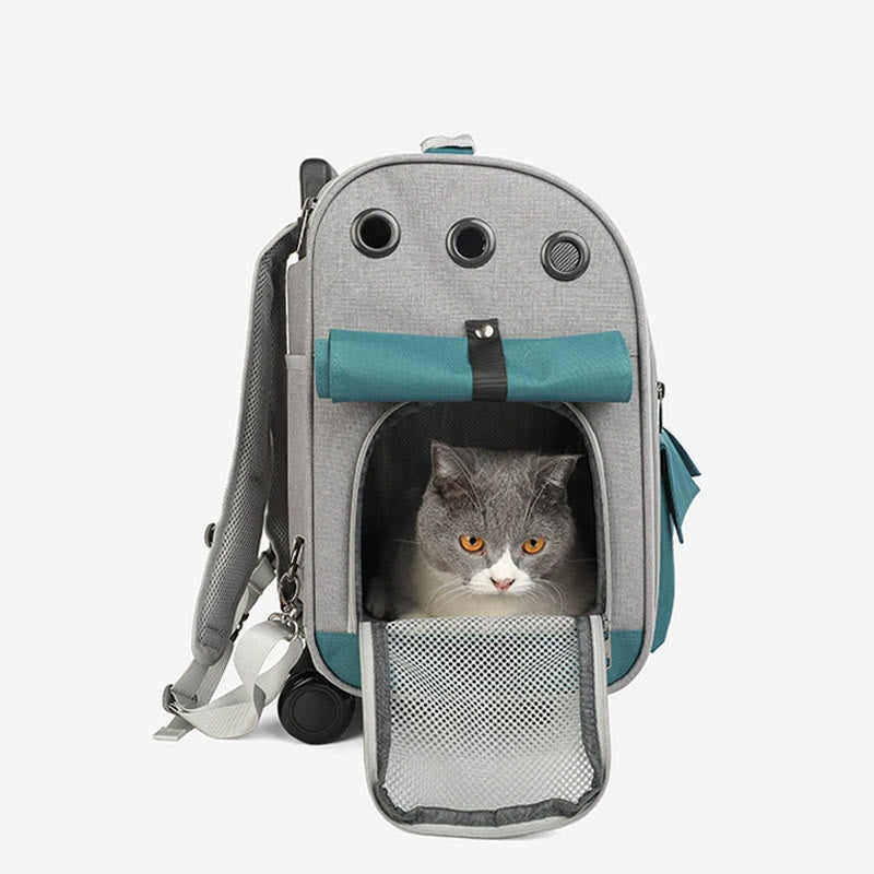 Tragbarer Haustierträger für den Außenbereich, großer, tragbarer Oxford-Katzen-Rucksack