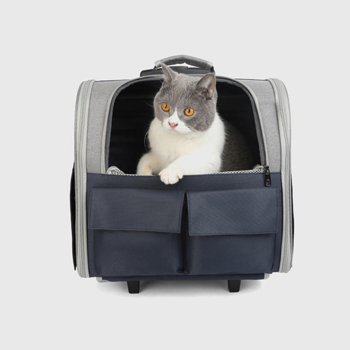 Tragbarer Haustierträger für den Außenbereich, großer, tragbarer Oxford-Katzen-Rucksack