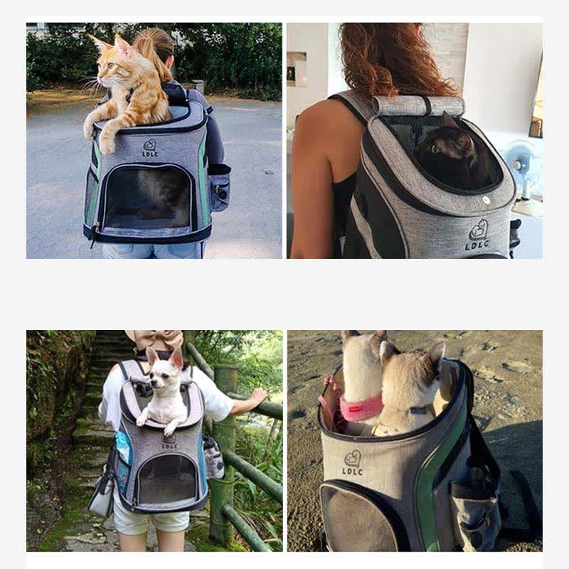 Haustier-Tragerucksack mit Taschen, Plüschmatte, Leine für Welpen und Katzen