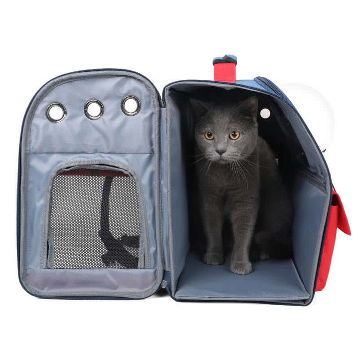Haustier-Tragerucksack für kleine Hunde und Katzen, wasserdicht, faltbar