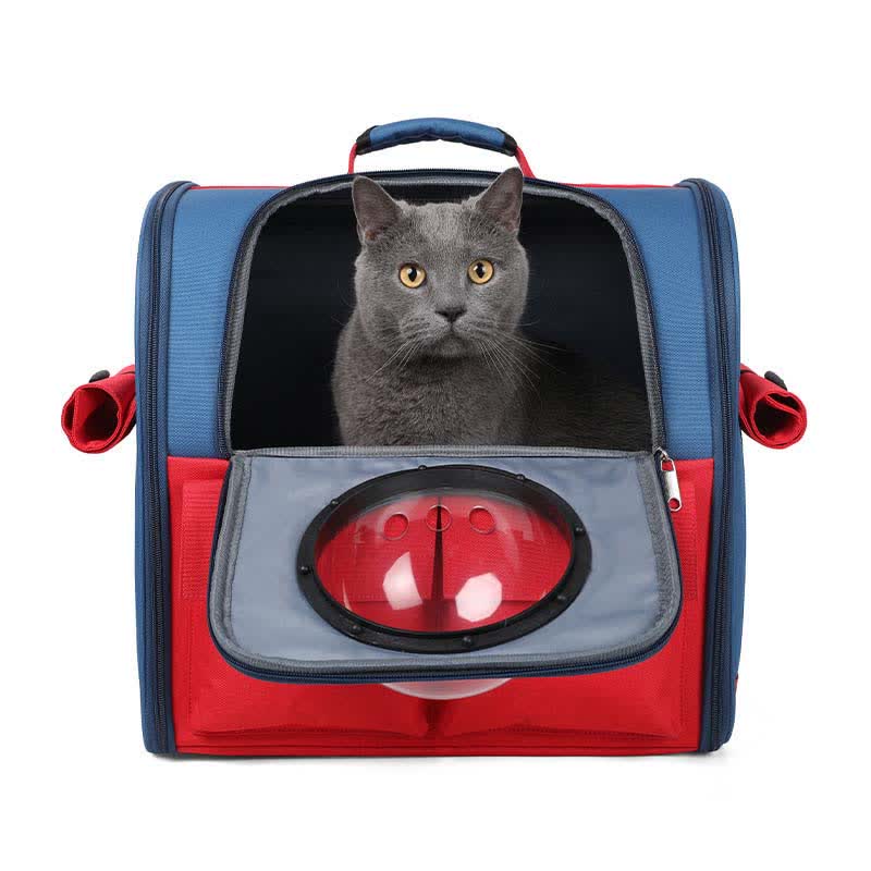 Haustier-Tragerucksack für kleine Hunde und Katzen, wasserdicht, faltbar
