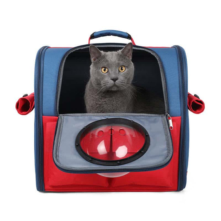 Haustier-Tragerucksack für kleine Hunde und Katzen, wasserdicht, faltbar