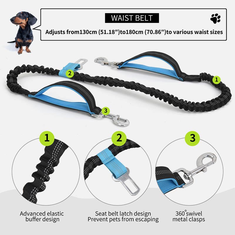 Multifunktionale Hüfttasche zum Laufen, wasserdicht, Hundeleine, Sportpaket