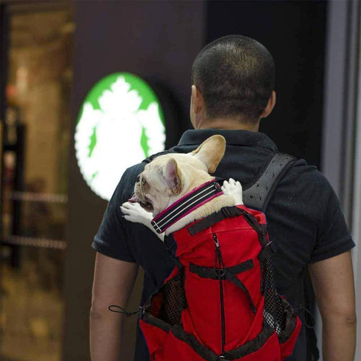 Atmungsaktiver Reiserucksack für Hunde und Katzen