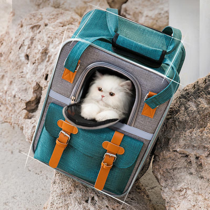 Haustier-Tragerucksack für Katzen, Luftpolster-Rucksack, für bis zu 9 kg