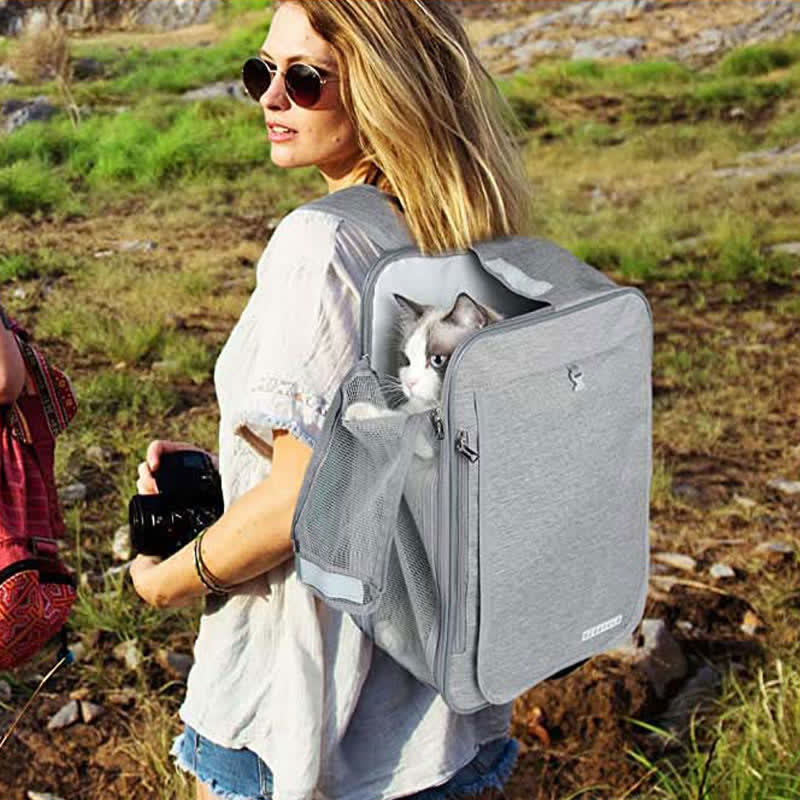 Haustier-Rucksackträger, faltbarer Haustier-Rucksack, Handtasche für Katzen und kleine Hunde