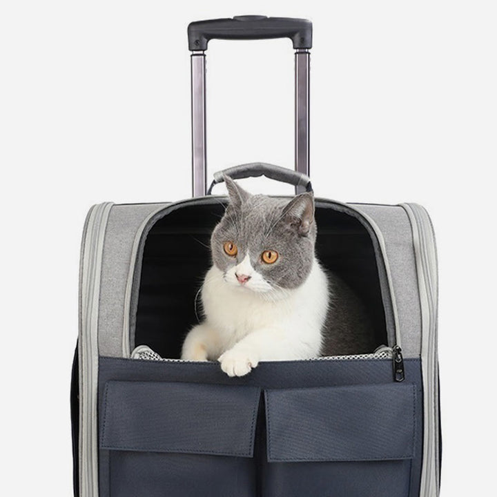 Tragbarer Haustierträger für den Außenbereich, großer, tragbarer Oxford-Katzen-Rucksack